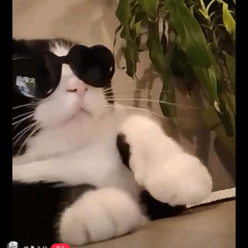 爱郡生活