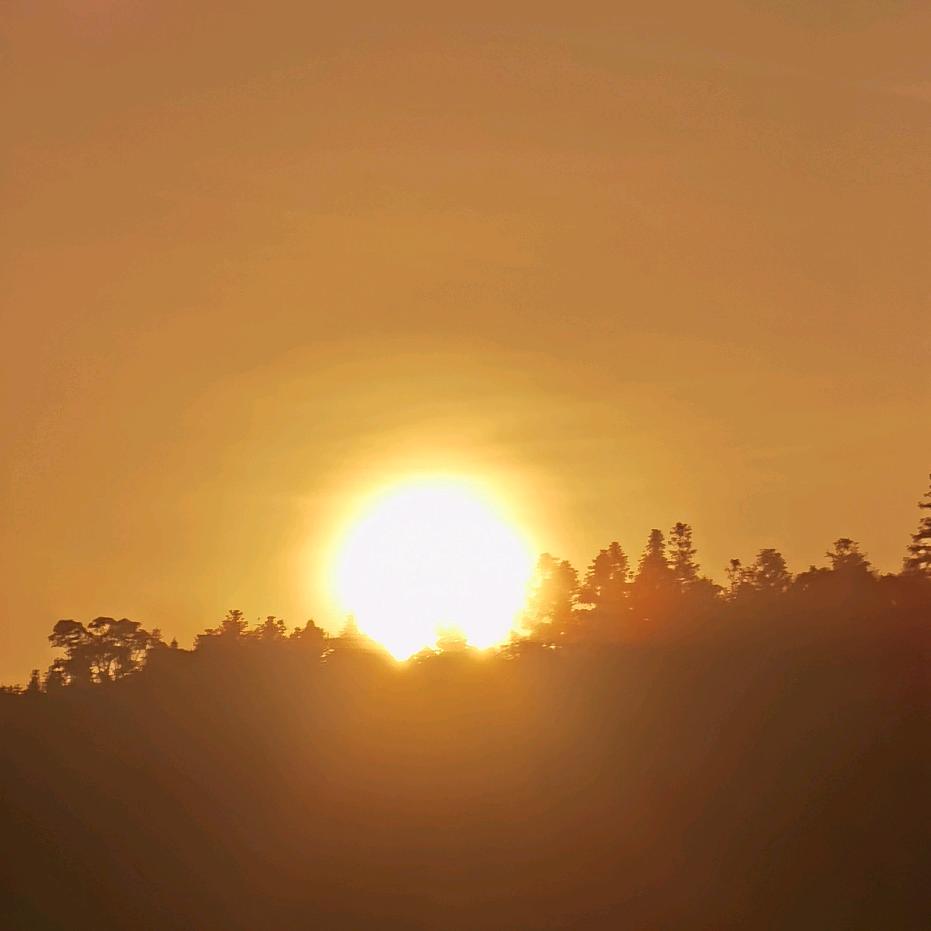 初光先☀赵