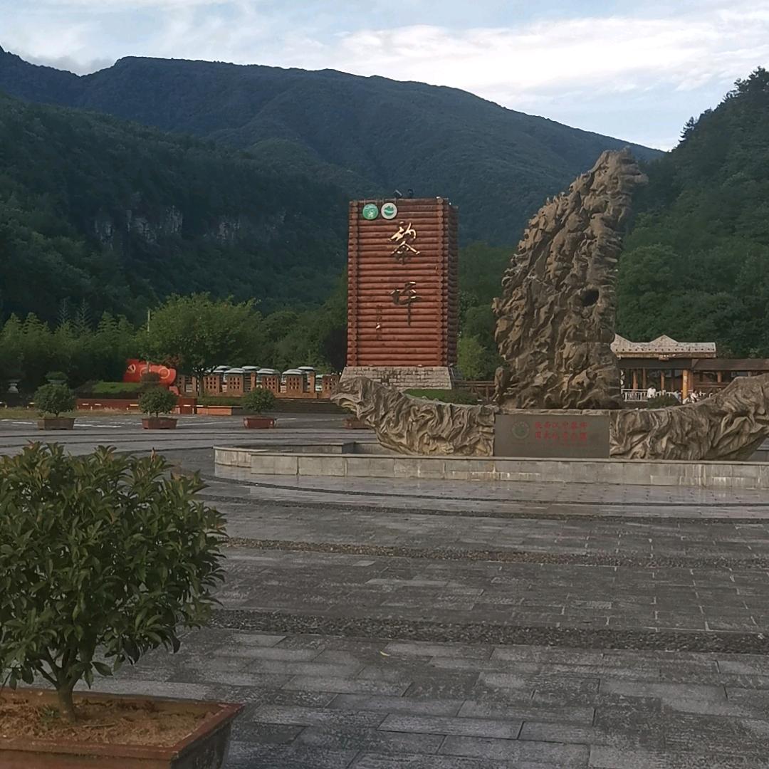 杨枝甘露