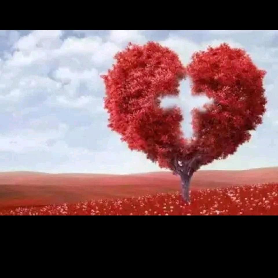 我家有军大衣，2021.9.18