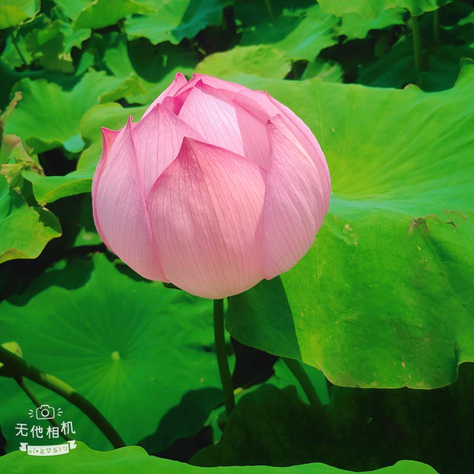 @话不投机半句多