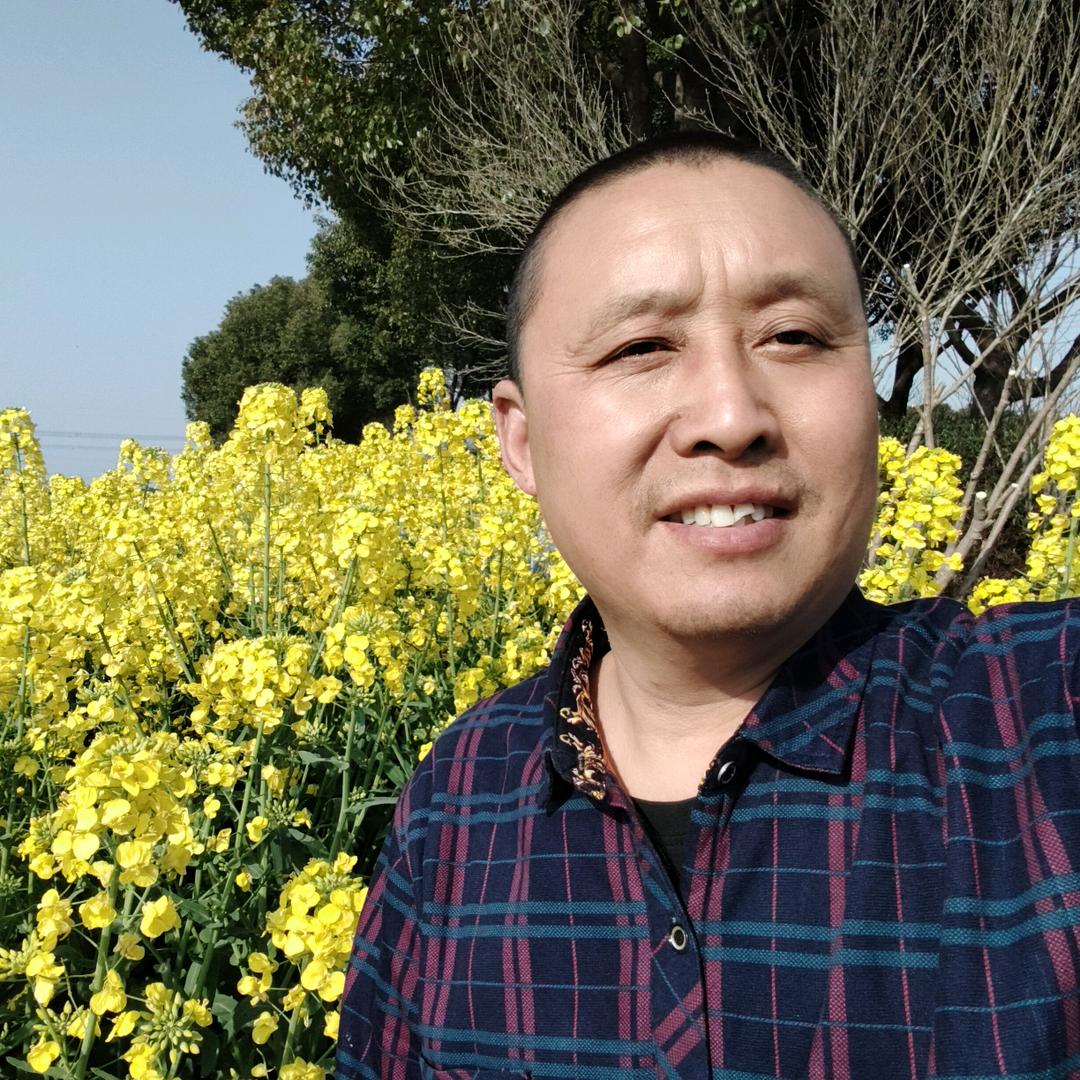 最爱苹果