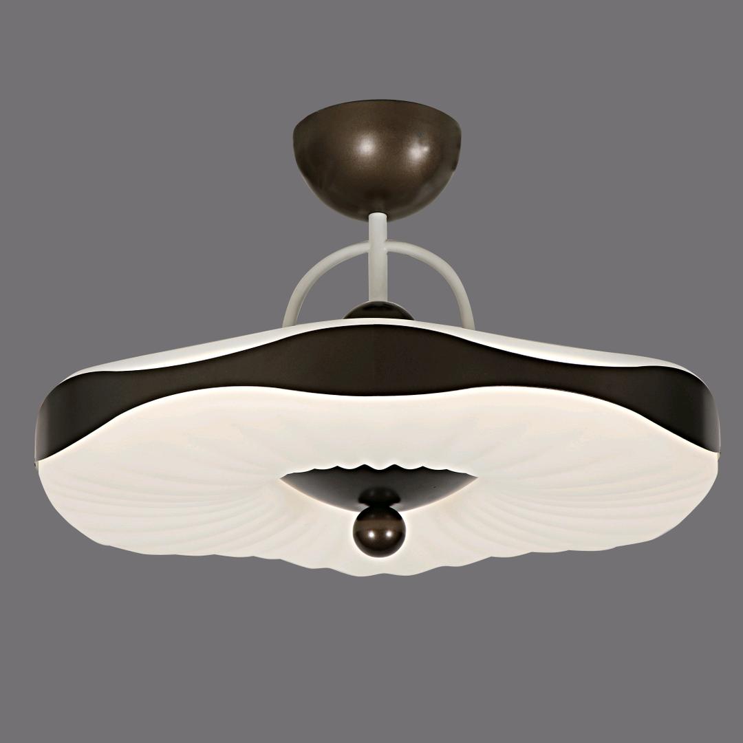 中山市华佳灯饰照有限公司