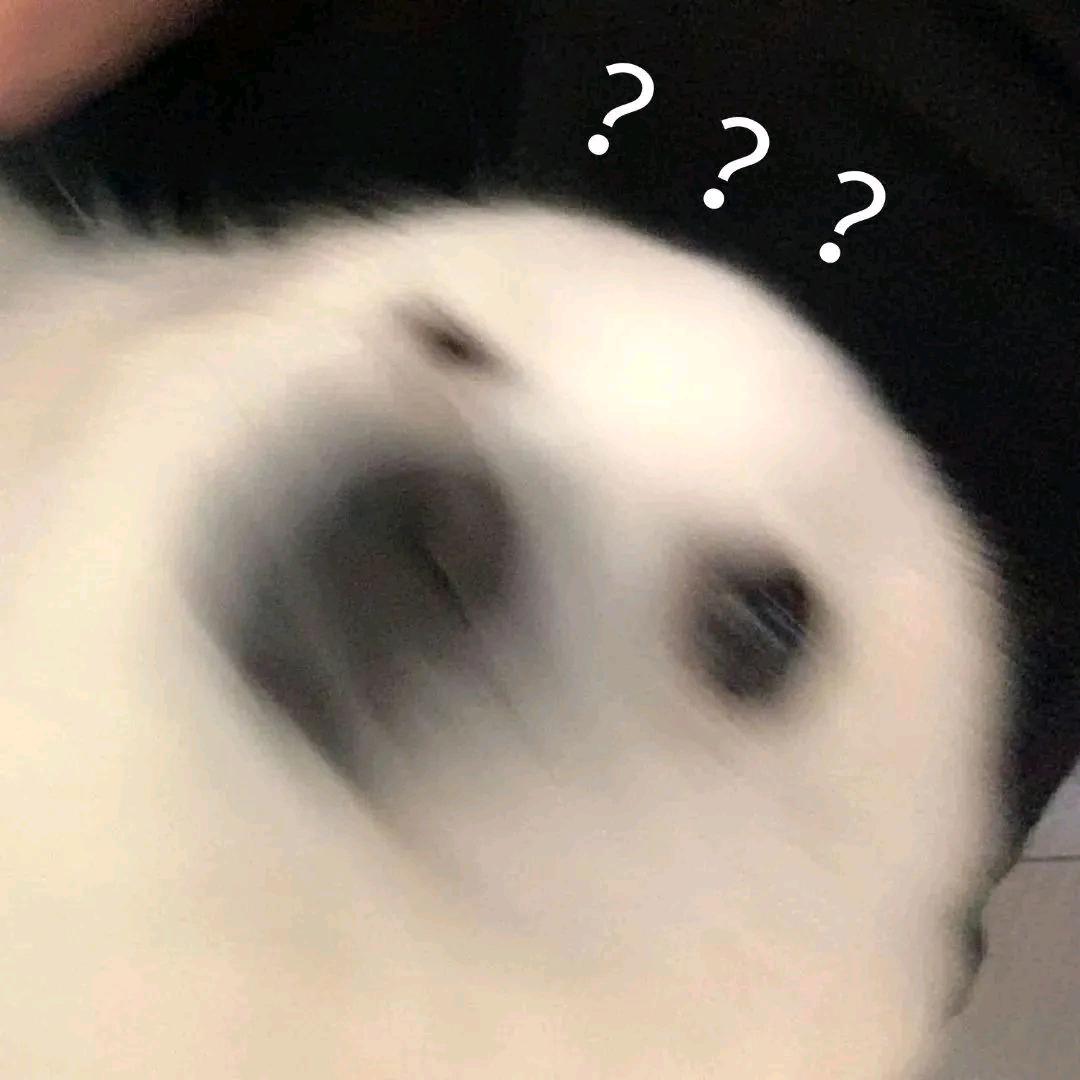 欢乐狗仔
