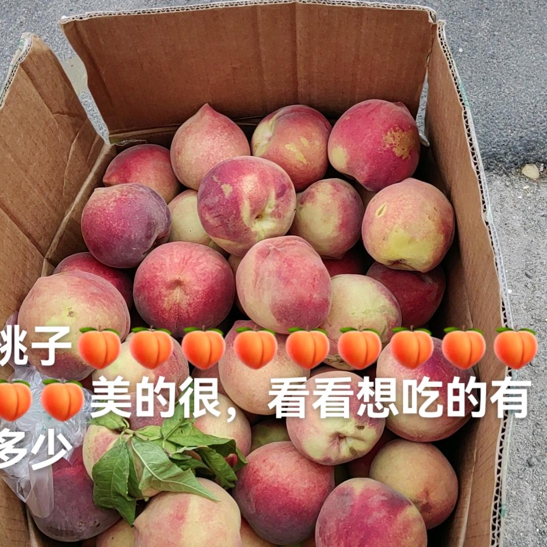 道法自然