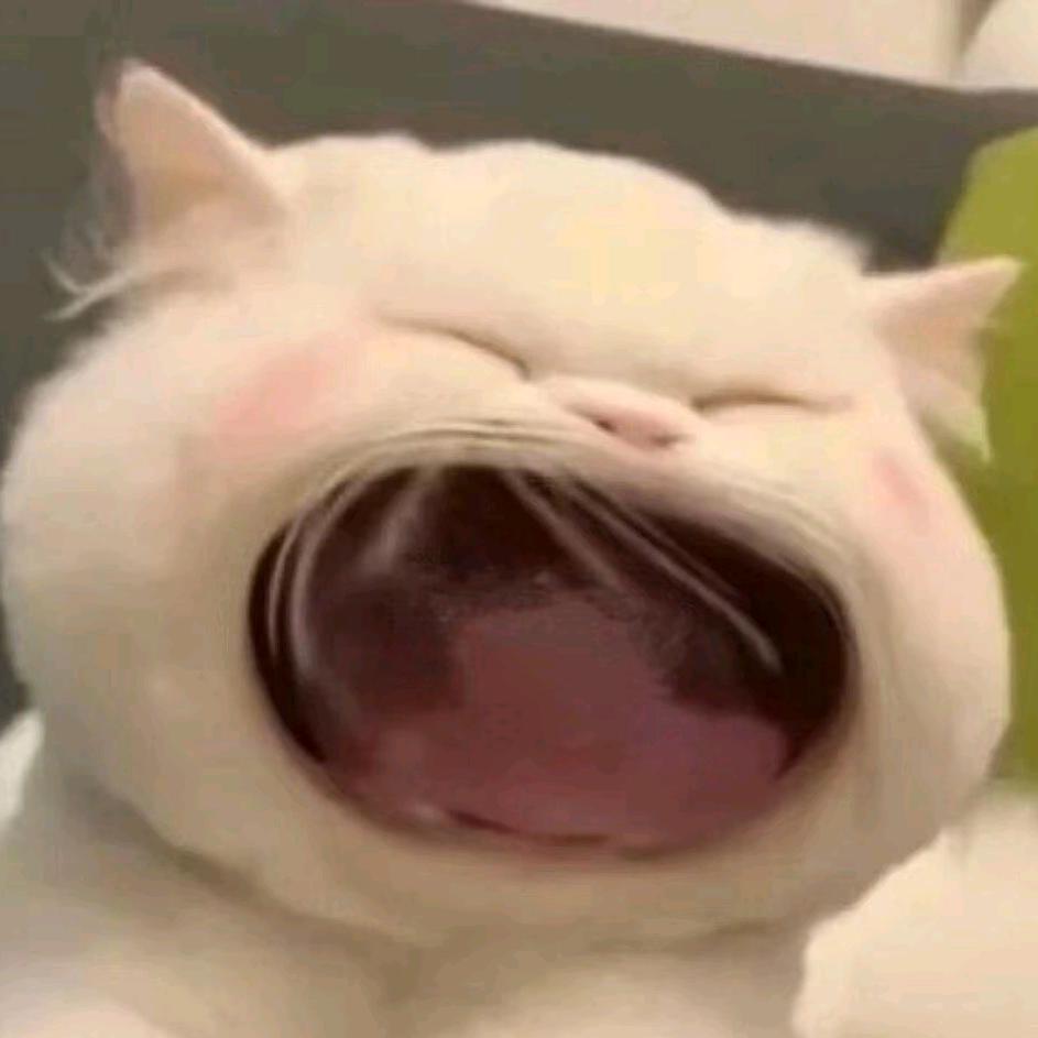 汤圆