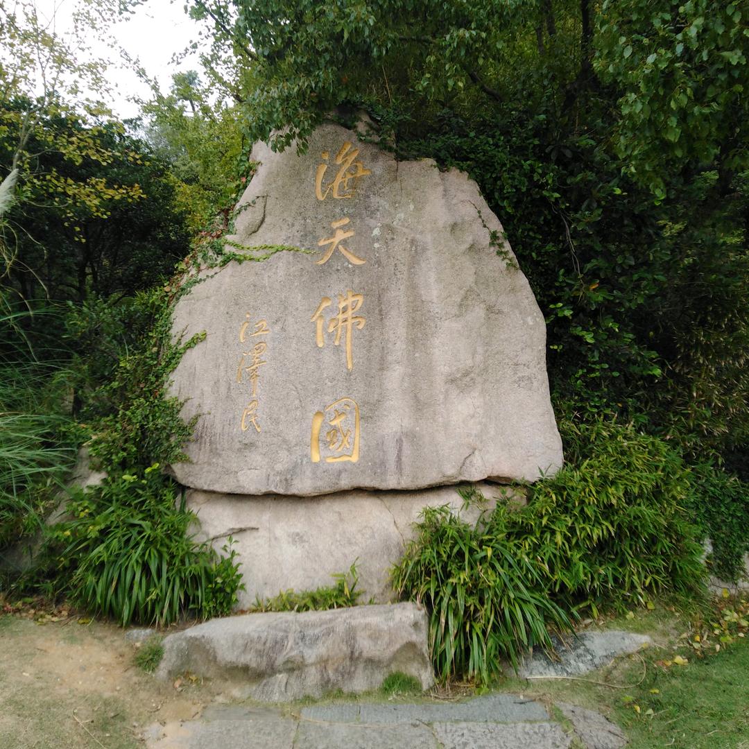 ㅤ悟
