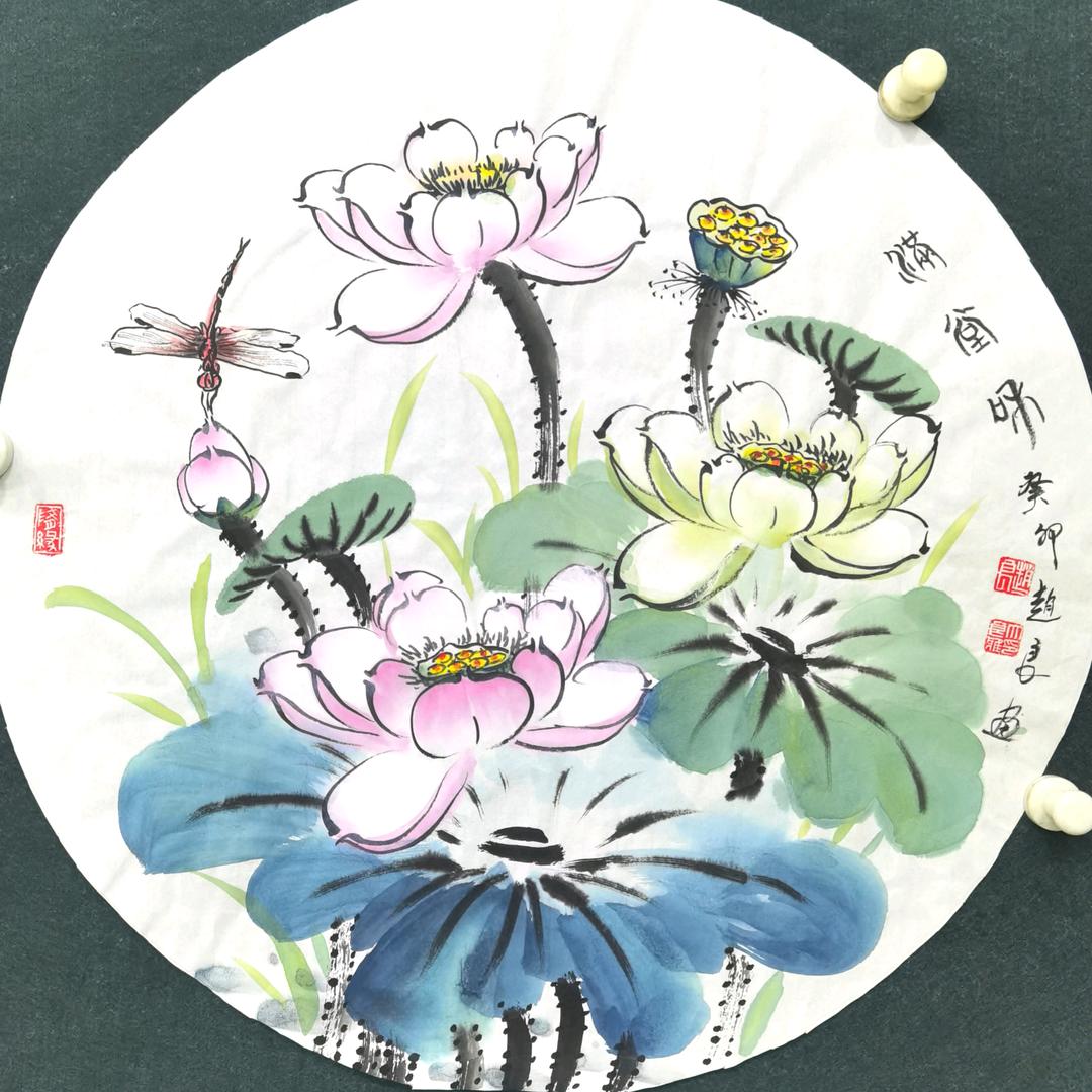 赵良荷花 (中艺倍翔)