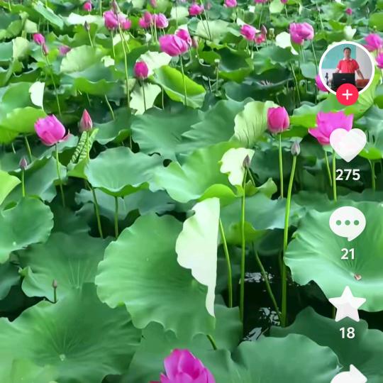 诚信赢天下