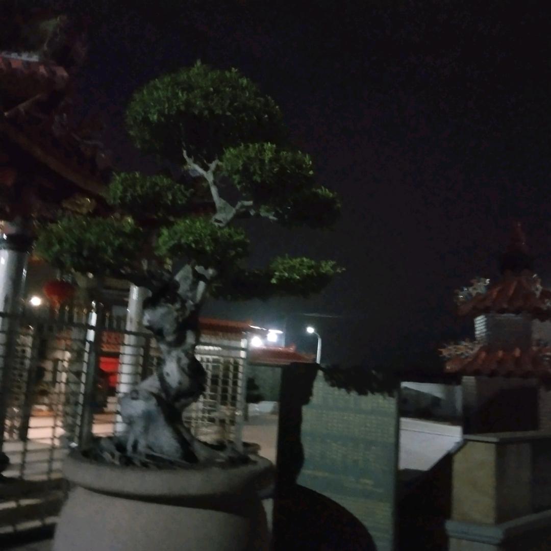 用户5639739976651