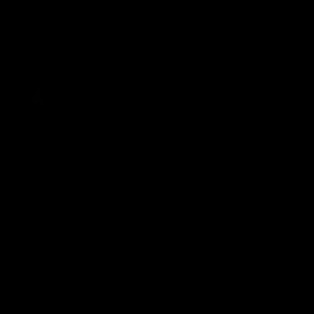 乐乐
