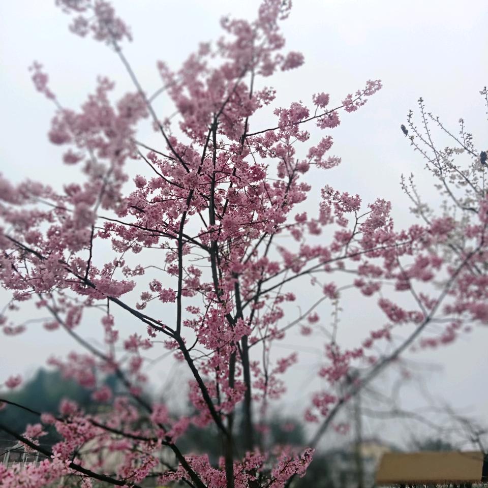 有你我最好