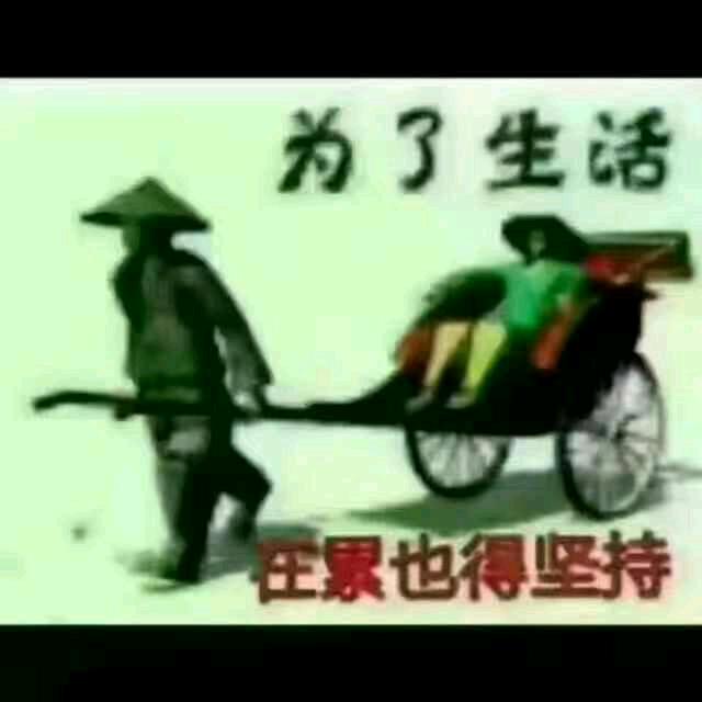 老虎有点二