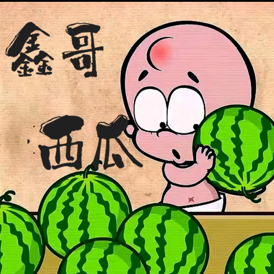 赵鑫