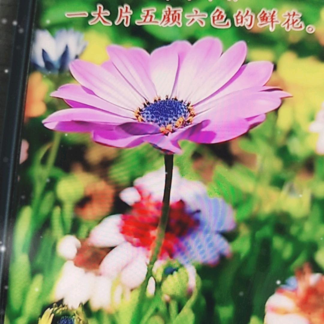 生活补给站