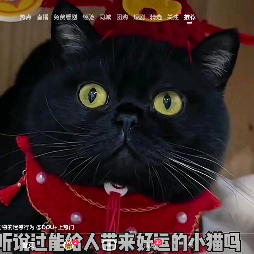 美好的童年。