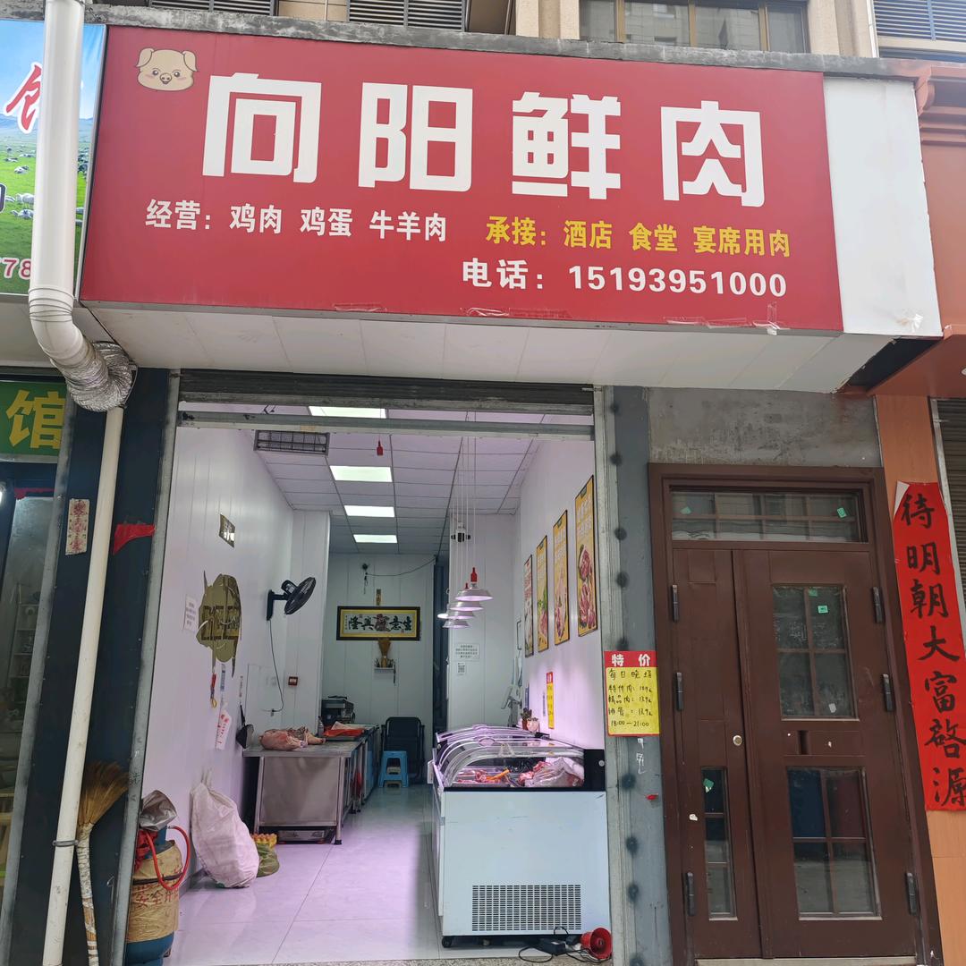 ✨向阳鲜肉✨