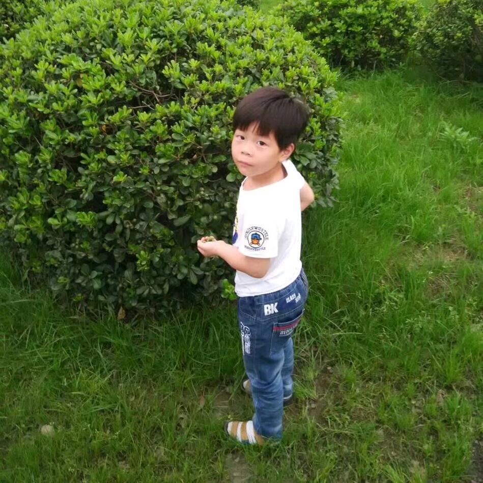 粗犷的外表，温柔的心