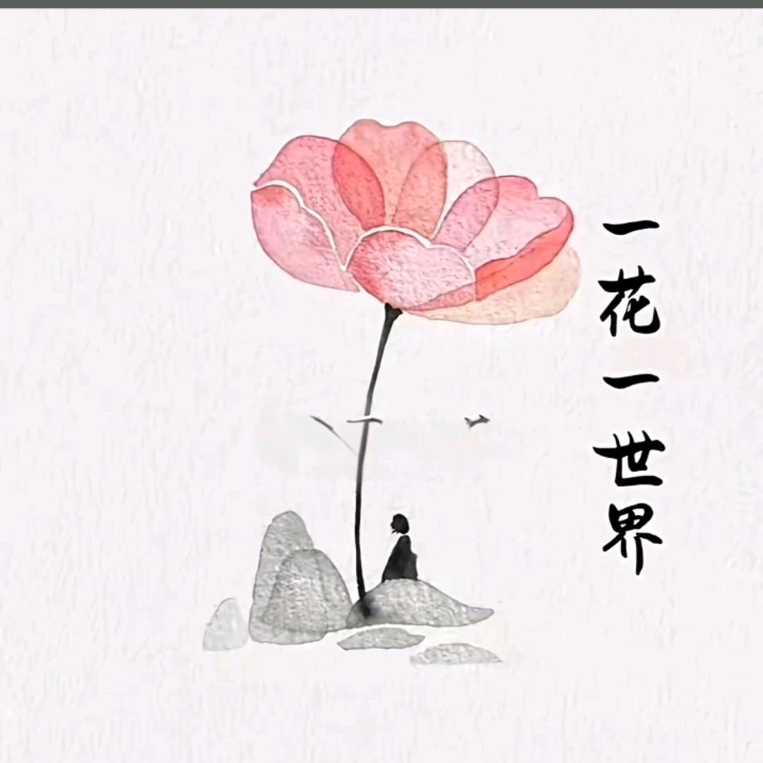 菲菲