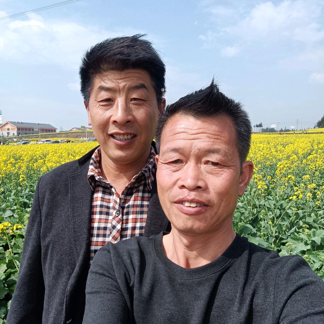 小艾哥，韭菜种植