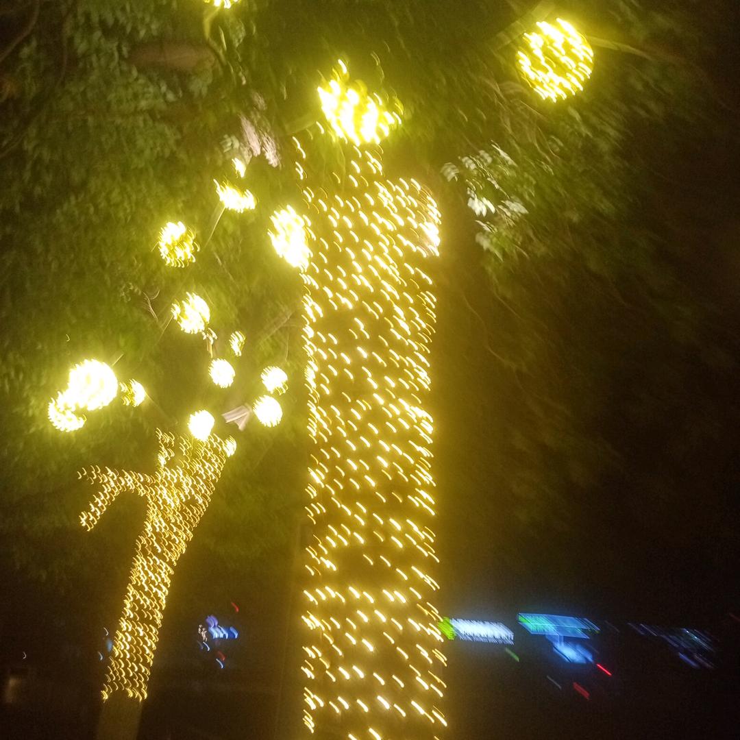 白天不懂夜的黑