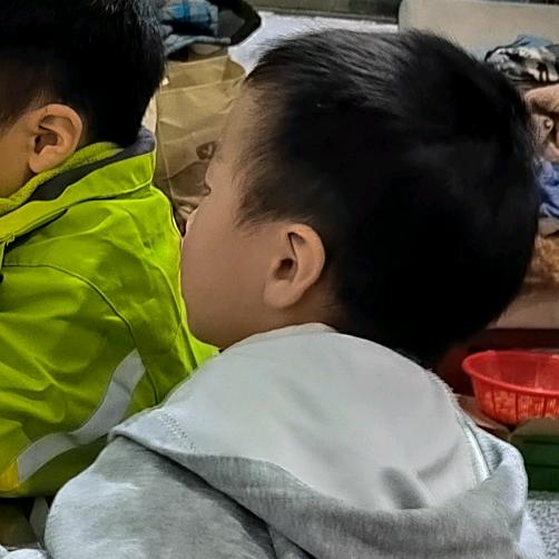 心向星光