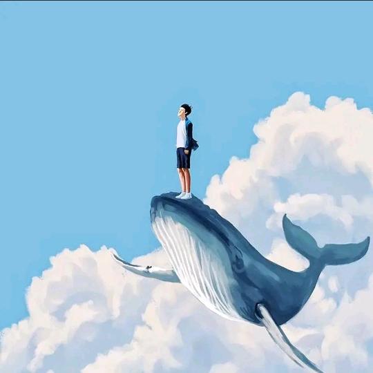 秦哥
