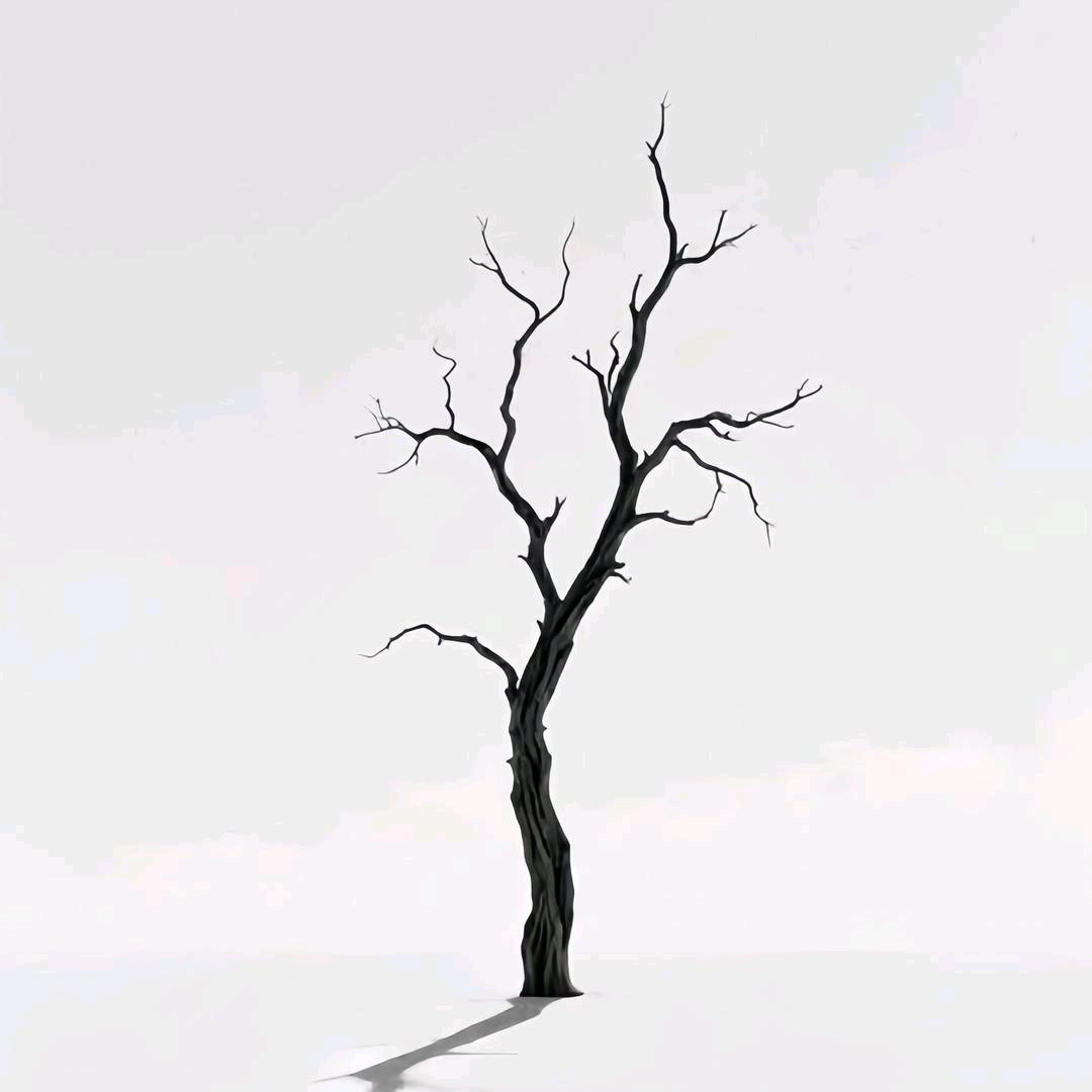 月有阴晴圆缺