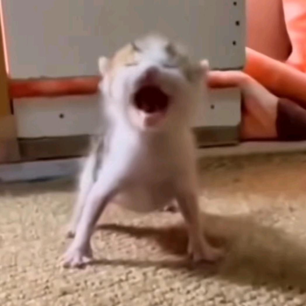 😄🐟&❤️❤️