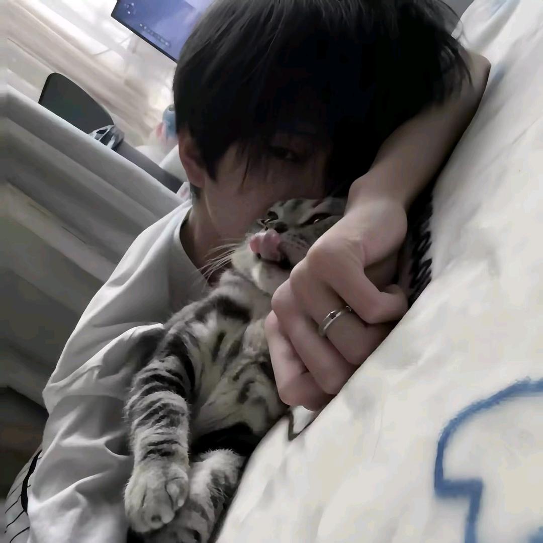 川野鹤