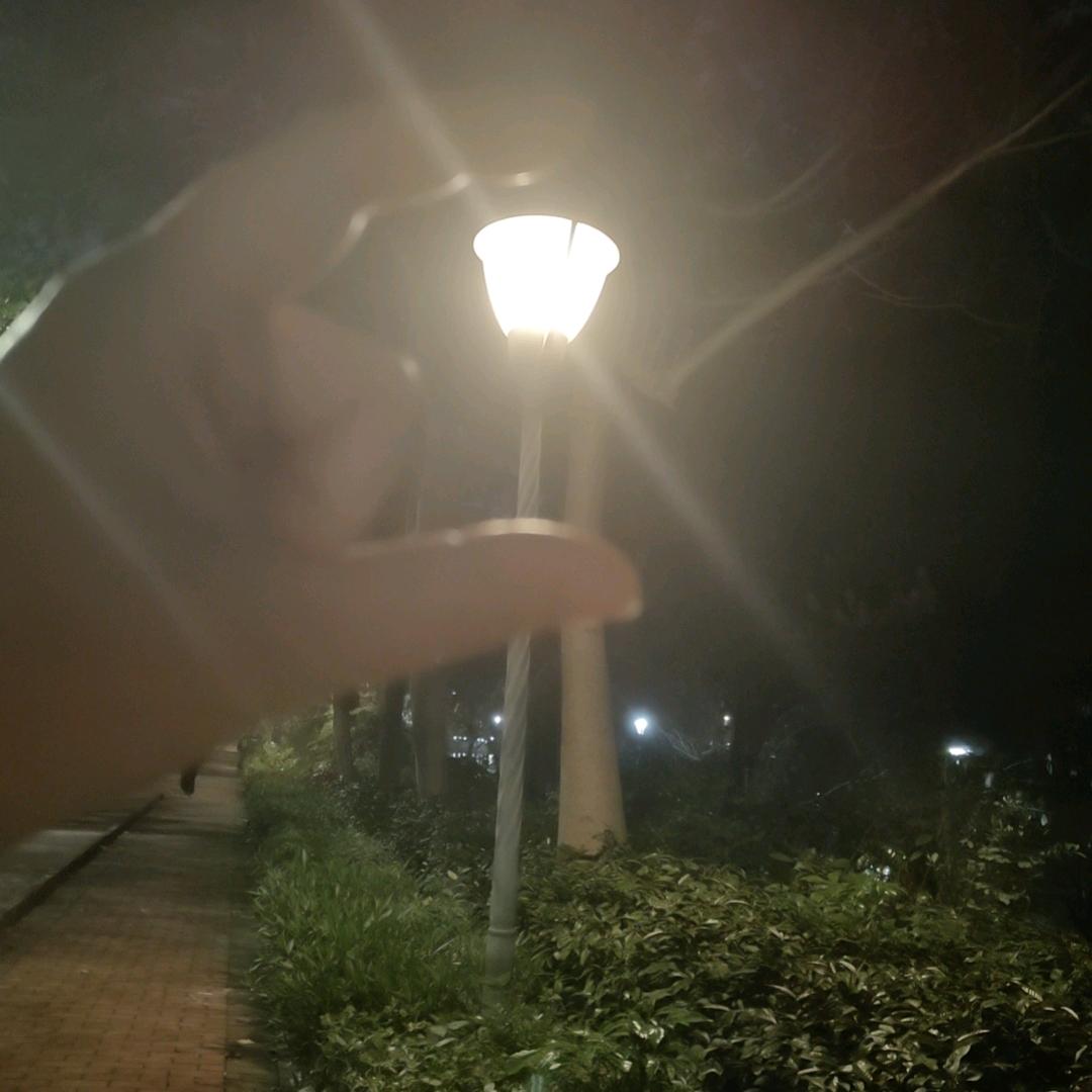 屁
