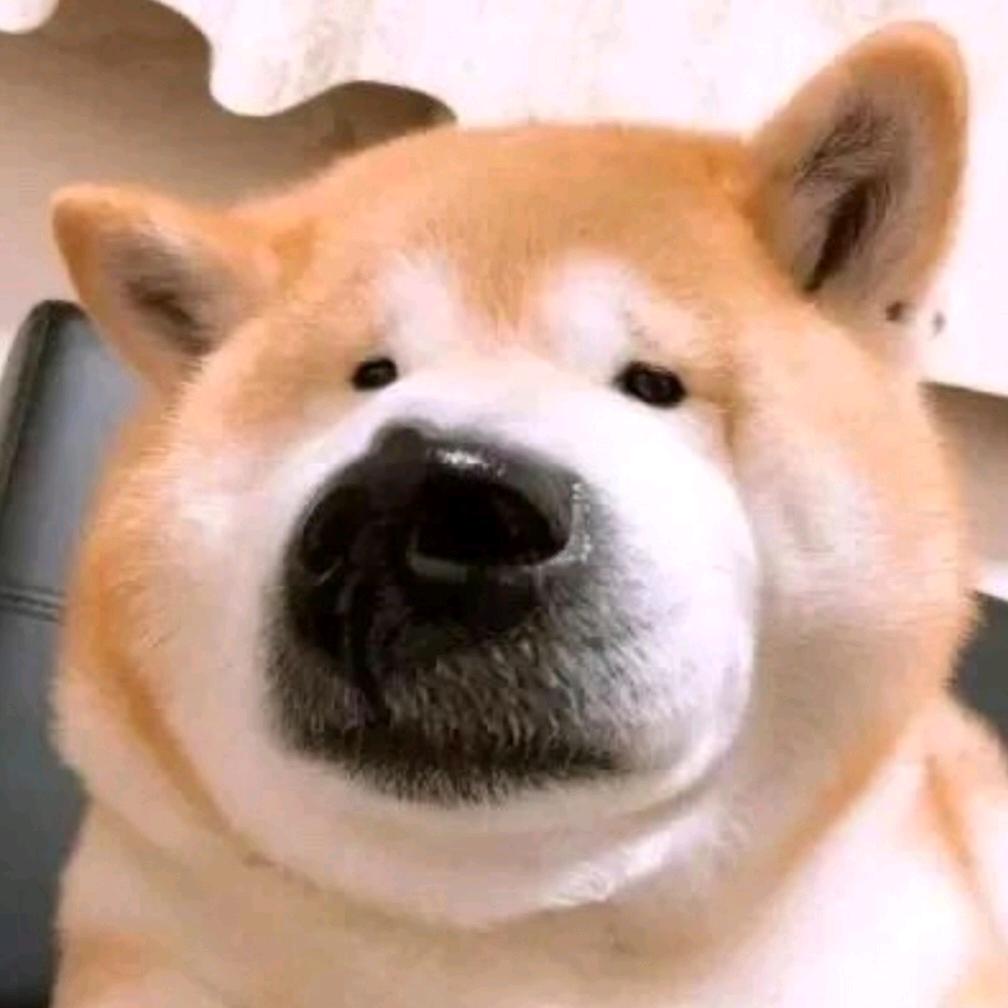 暖夕