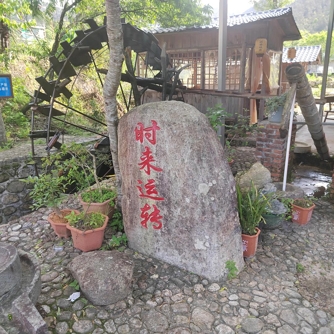 飞腾