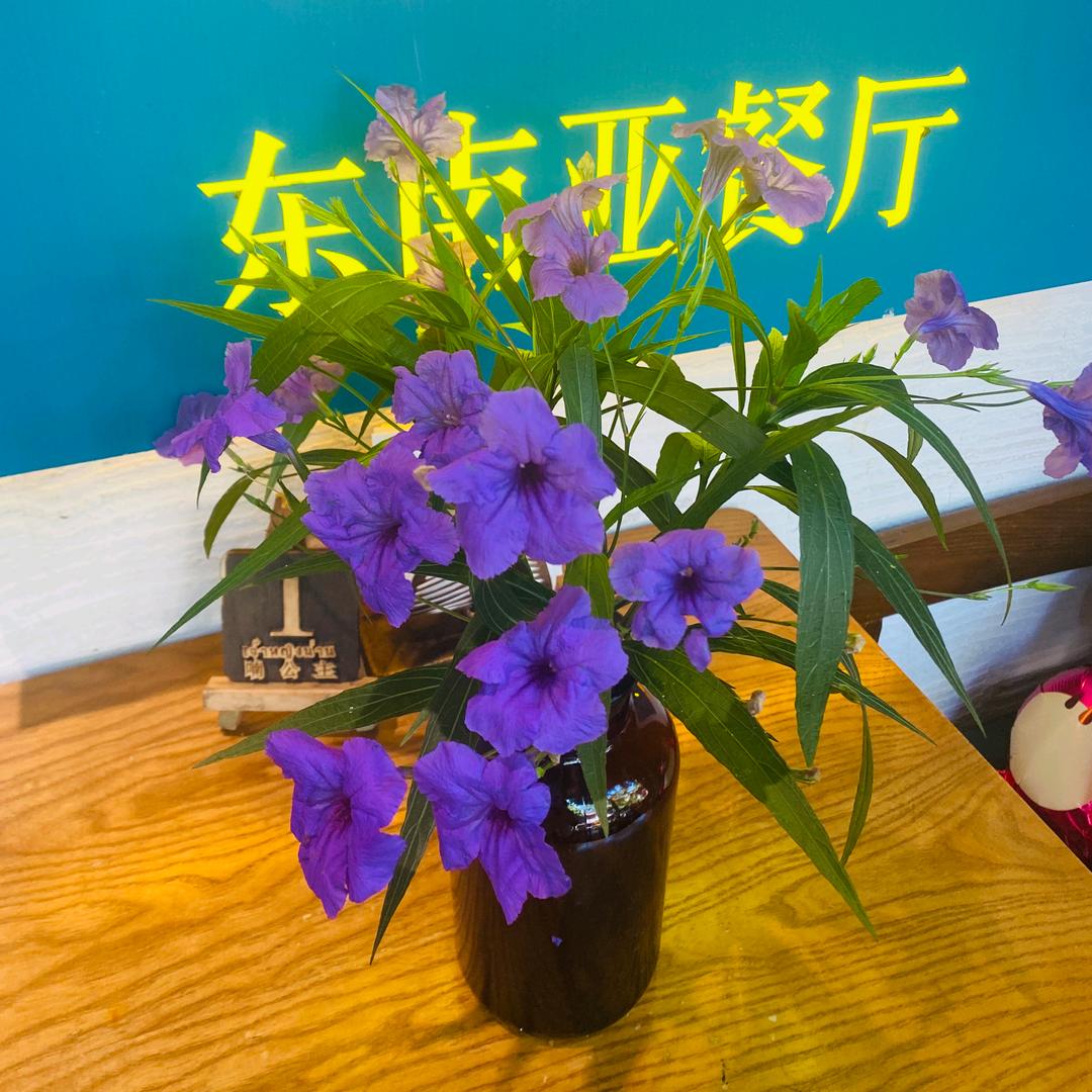 啊萍