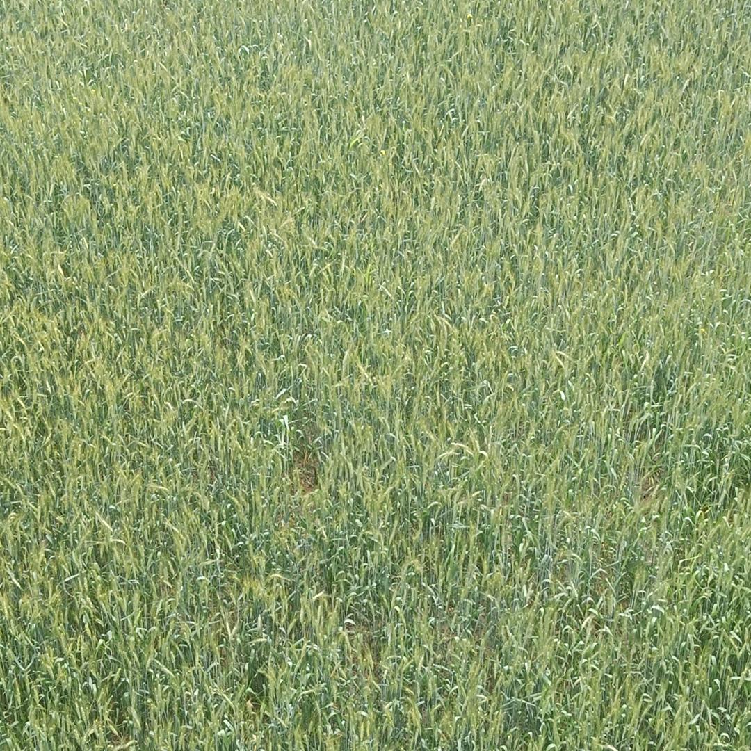 可爱女人👩🏻