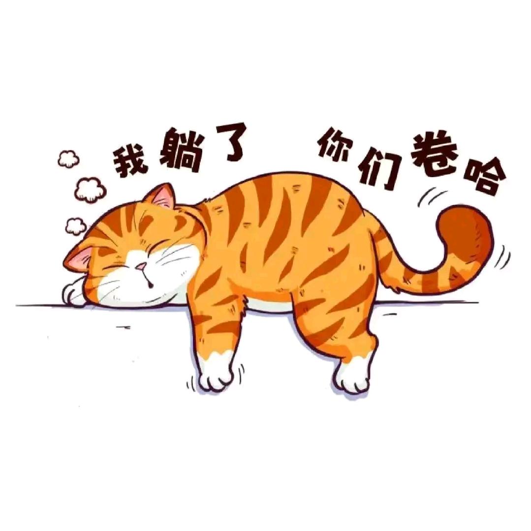 容县喵的天空之城