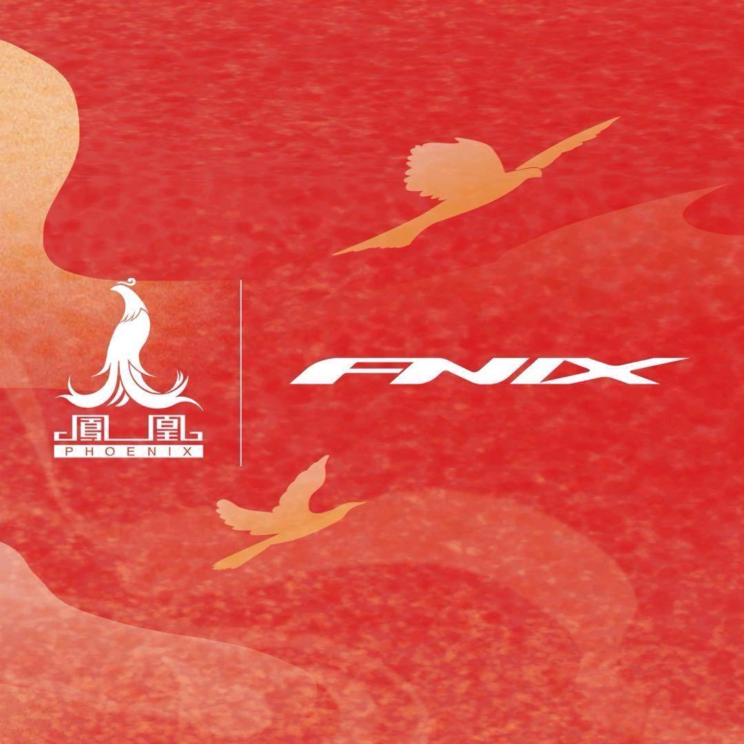 凤凰菲尼仕自行车(桃花峪店)