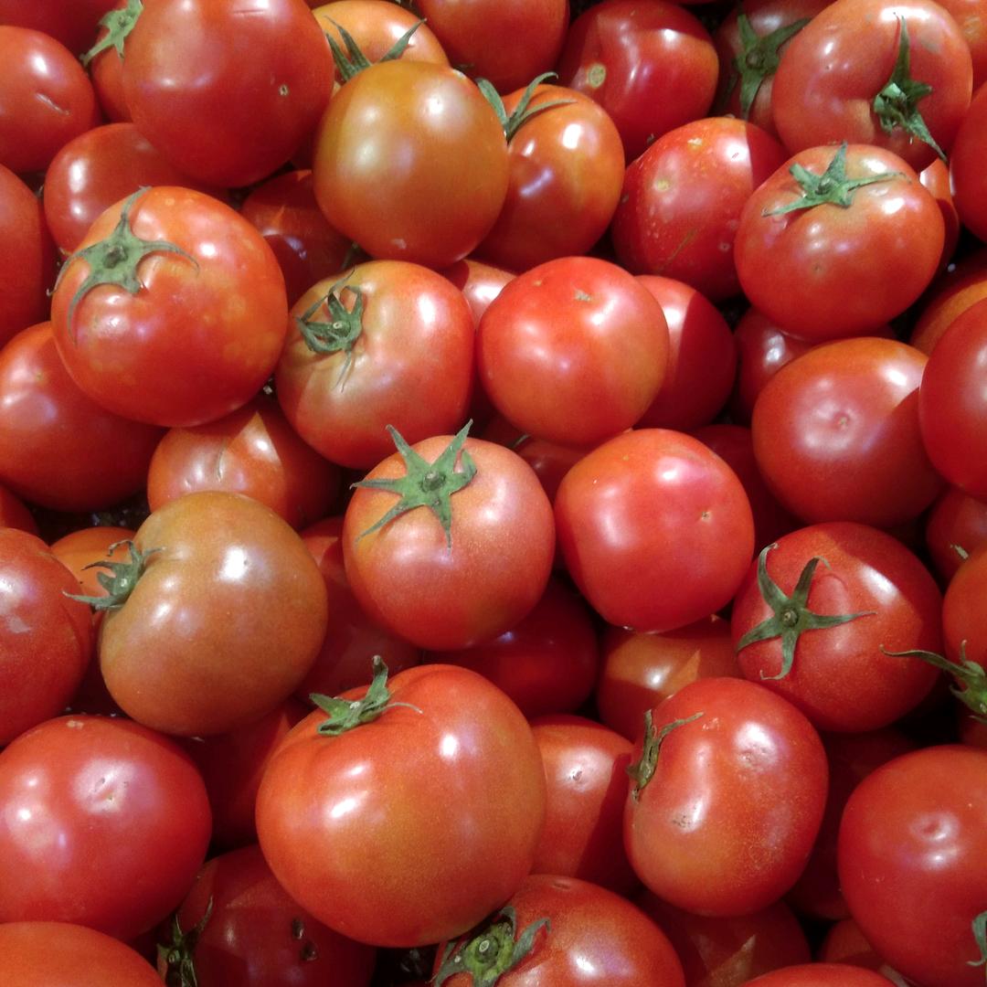 西红柿🍅