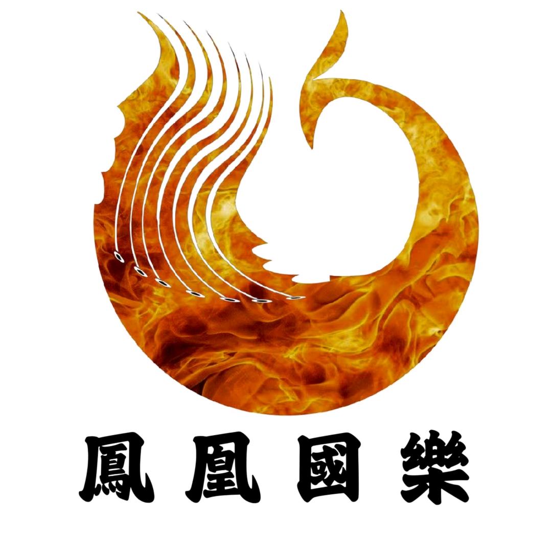 南阳【凤凰国乐】古筝 古琴 琵琶