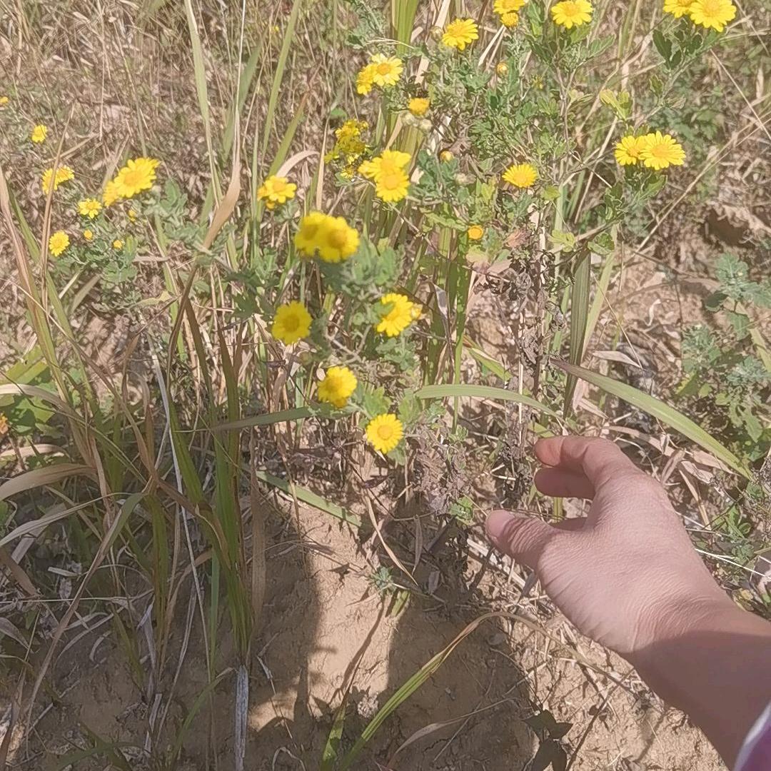 鑫鑫理疗