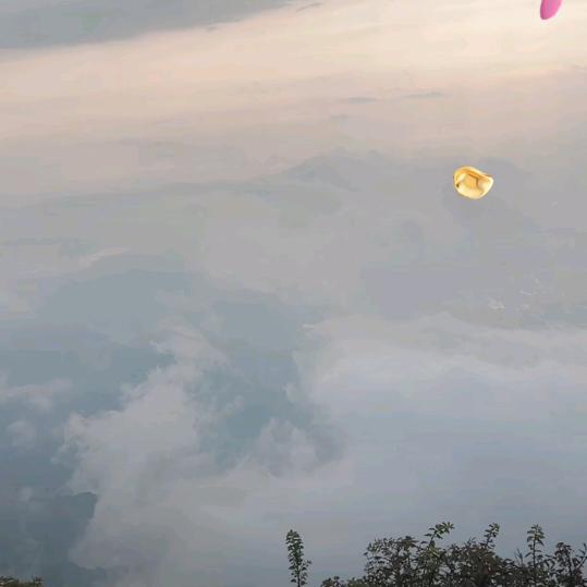 乐 乐