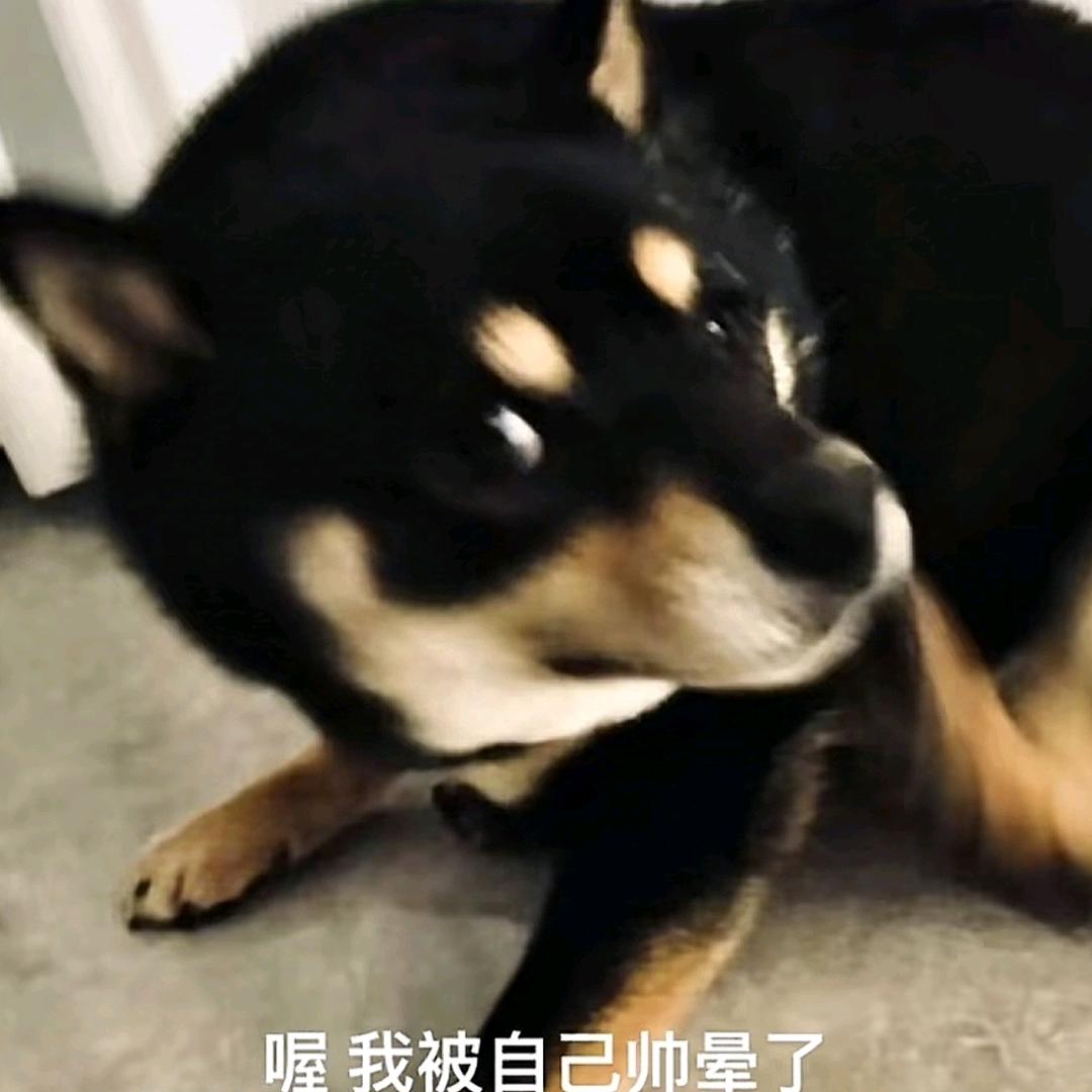 人类，你瞅什么你瞅