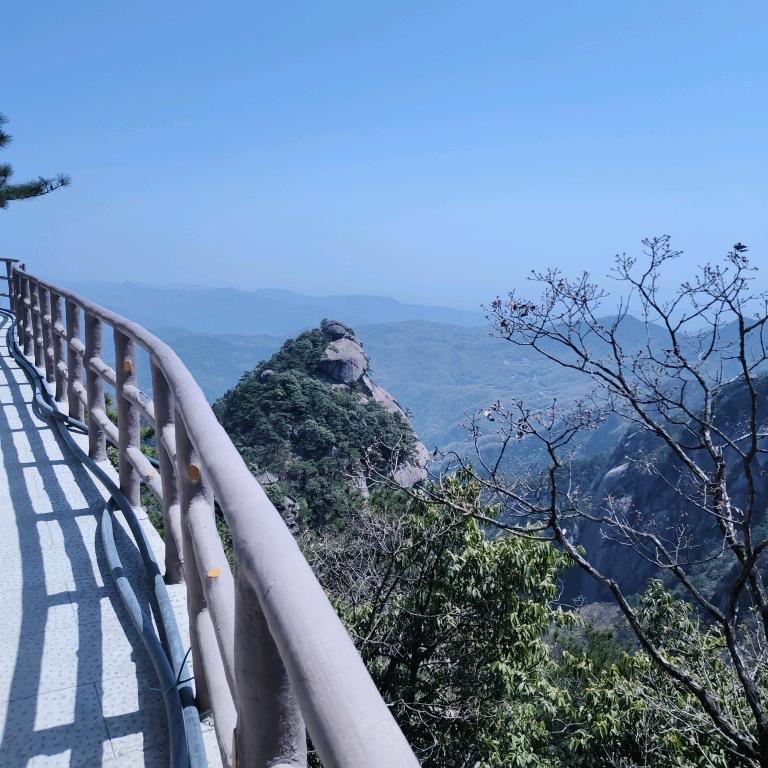 李子