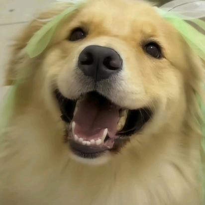 重生之我成了男神的痔疮让他欲仙欲死