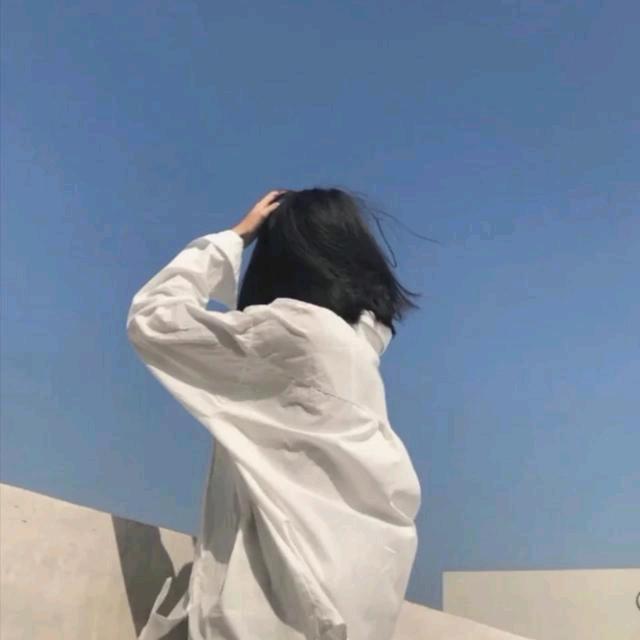 婵娟蝶舞