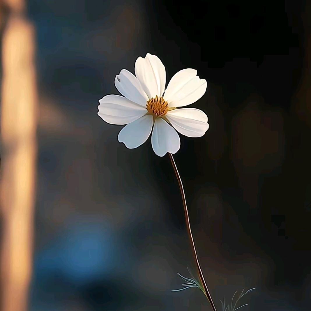 ٩(*´清◒風`*)۶