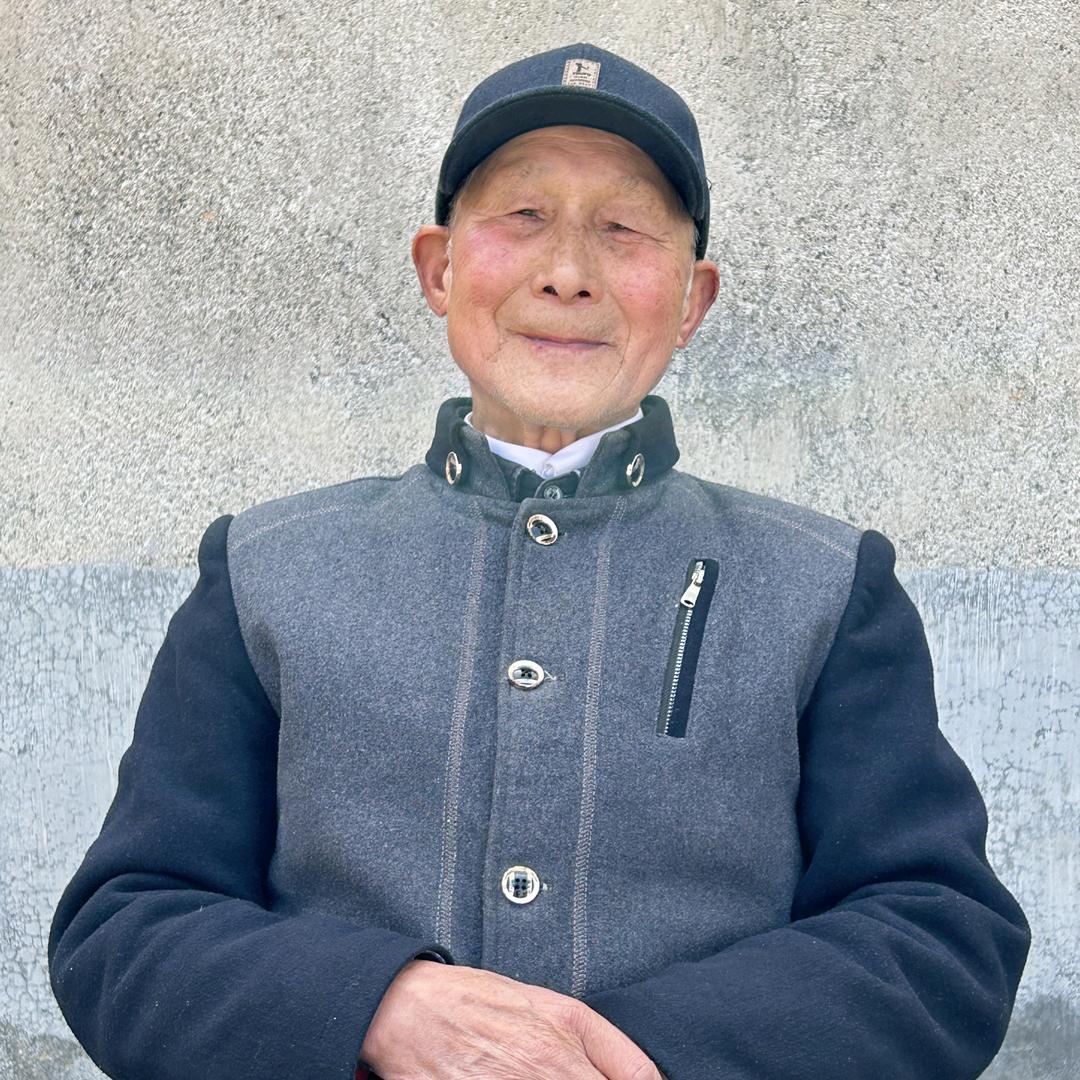 青松不老