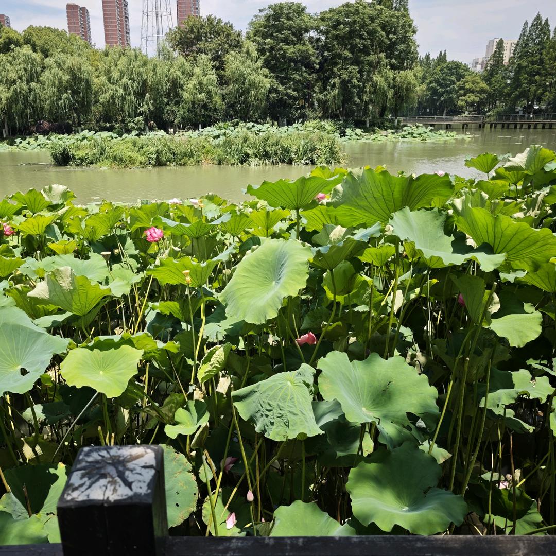 零度0