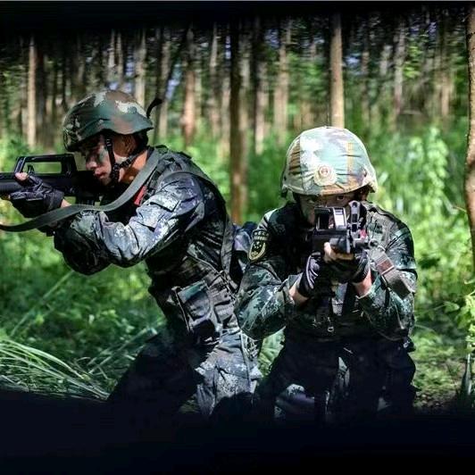 随枫