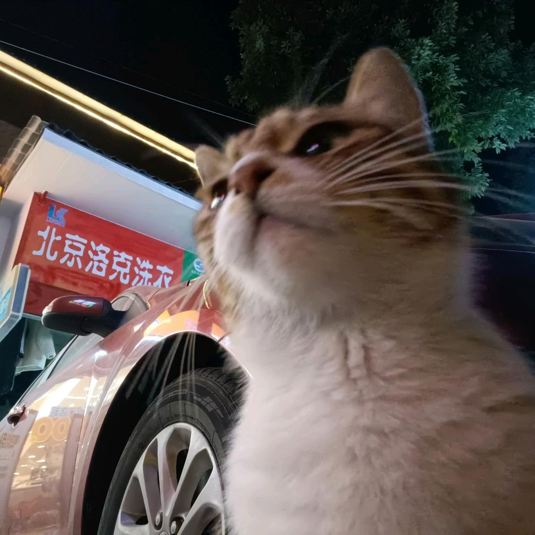 以此来纪念我的鸭脖